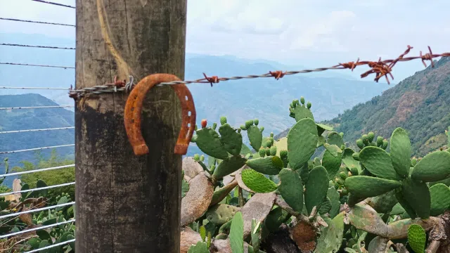 Todo ocurre por una razón