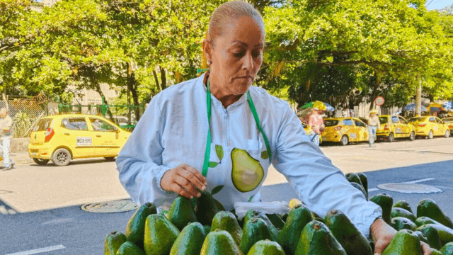 20 años vendiendo los mejores aguacates