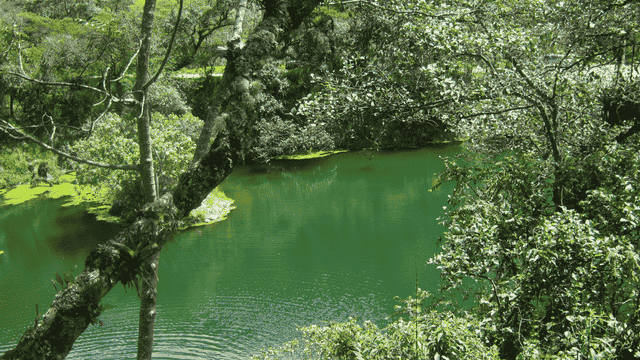 El calorcito que brota del corazón de la tierra